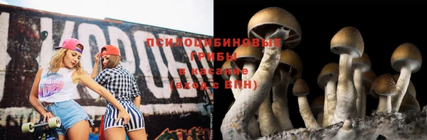 амф Семёнов