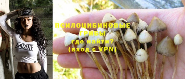 ALPHA-PVP Снежинск