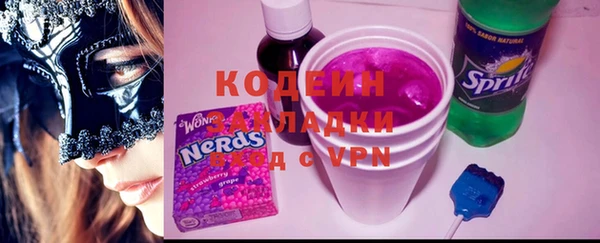 гидра Снежногорск